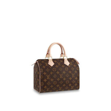 Louis Vuitton SPEEDY 25 - Free Shipping USA